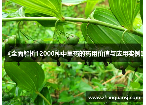 《全面解析12000种中草药的药用价值与应用实例》